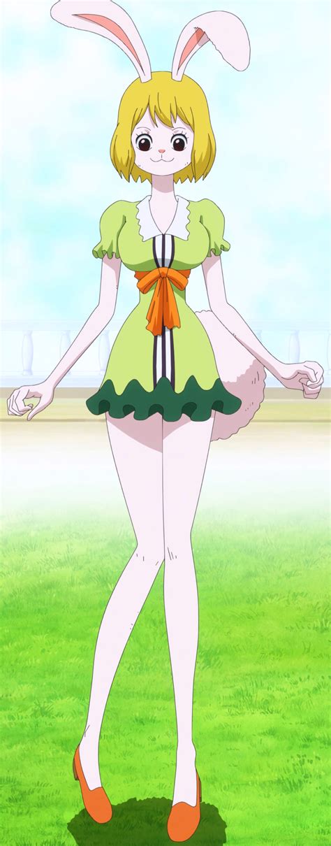 carrot (one piece)